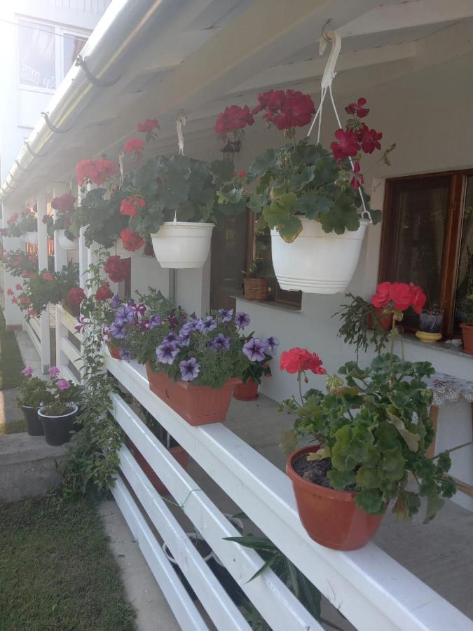 Cazare Turism Prislop Hotel Haţeg Exterior foto