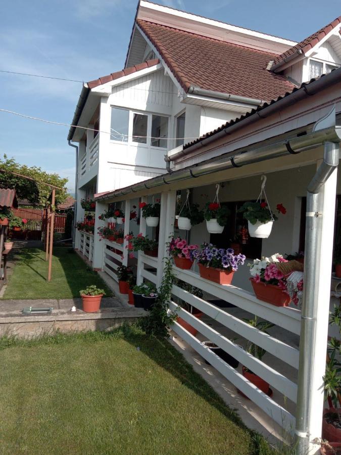 Cazare Turism Prislop Hotel Haţeg Exterior foto